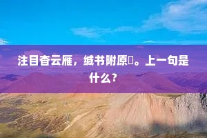 注目杳云雁，缄书附原鸰。上一句是什么？