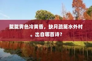 胧胧霁色冷黄昏，缺月疏篱水外村。出自哪首诗？