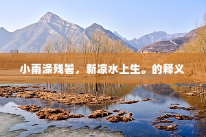 小雨涤残暑，新凉水上生。的释义