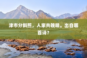 津市分斜照，人家共晚晴。出自哪首诗？