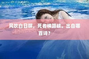 风吹白日暝，死者横路岐。出自哪首诗？