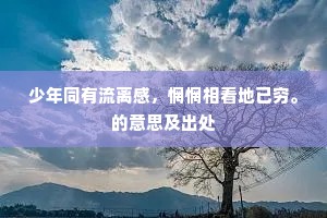 少年同有流离感，惘惘相看地已穷。的意思及出处