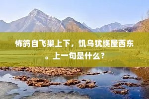 怖鸽自飞巢上下，饥乌犹绕屋西东。上一句是什么？