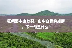 狂飙落木山欲裂，山中白骨纷如麻。下一句是什么？