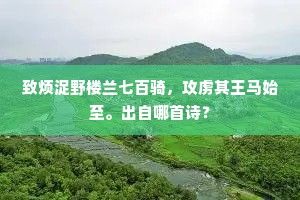 致烦浞野楼兰七百骑，攻虏其王马始至。出自哪首诗？