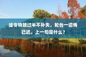 徒令物故过半不补失，轮台一诏悔已迟。上一句是什么？