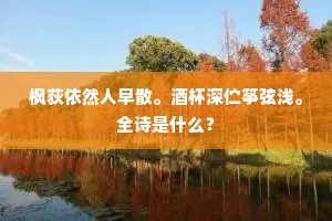 枫荻依然人早散。酒杯深伫筝弦浅。全诗是什么？