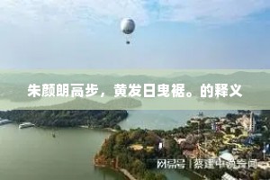 朱颜朗高步，黄发日曳裾。的释义