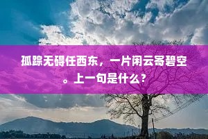 孤踪无碍任西东，一片闲云寄碧空。上一句是什么？