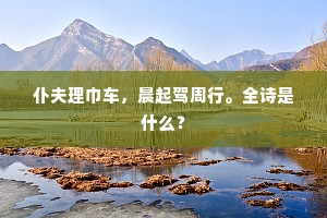 仆夫理巾车，晨起驾周行。全诗是什么？
