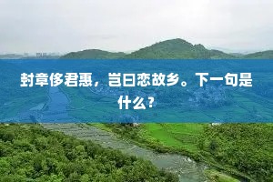 封章侈君惠，岂曰恋故乡。下一句是什么？
