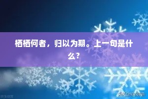 栖栖何者，归以为期。上一句是什么？