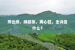 芳丛绣，绿筵张，两心狂。全诗是什么？