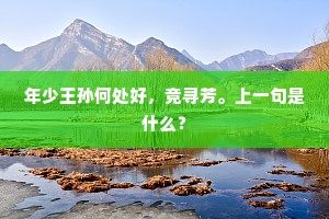 年少王孙何处好，竞寻芳。上一句是什么？