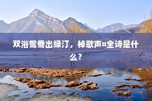 双浴鸳鸯出绿汀，棹歌声¤全诗是什么？