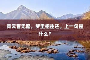 青云杳无路，梦里相往还。上一句是什么？