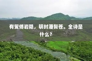 有叟傅岩隐，明时潘鬓苍。全诗是什么？