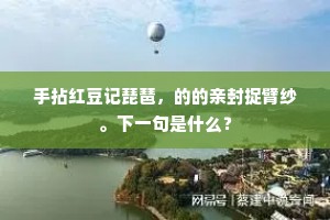 手拈红豆记琵琶，的的亲封捉臂纱。下一句是什么？