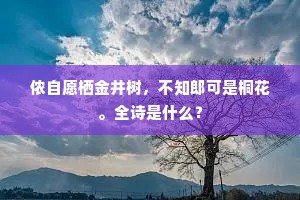 侬自愿栖金井树，不知郎可是桐花。全诗是什么？