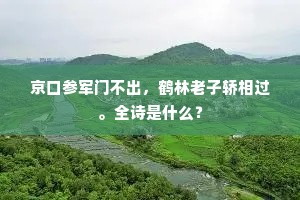 京口参军门不出，鹤林老子轿相过。全诗是什么？