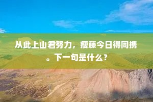 从此上山君努力，瘦藤今日得同携。下一句是什么？