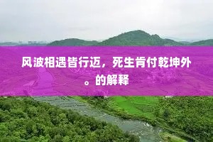 风波相遇皆行迈，死生肯付乾坤外。的解释