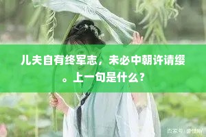 儿夫自有终军志，未必中朝许请缨。上一句是什么？