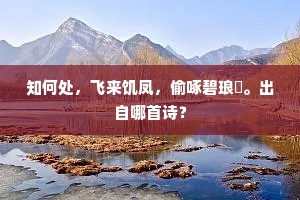 知何处，飞来饥凤，偷啄碧琅玕。出自哪首诗？