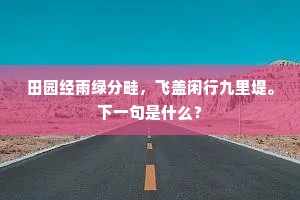 田园经雨绿分畦，飞盖闲行九里堤。下一句是什么？