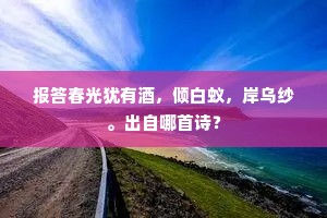 报答春光犹有酒，倾白蚁，岸乌纱。出自哪首诗？