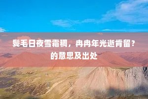 鬓毛日夜雪霜稠，冉冉年光逝肯留？的意思及出处