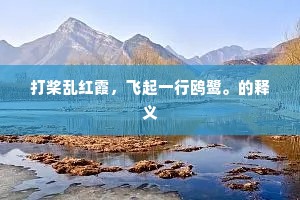 打桨乱红霞，飞起一行鸥鹭。的释义