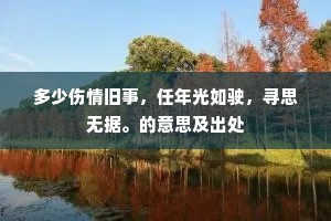 多少伤情旧事，任年光如驶，寻思无据。的意思及出处