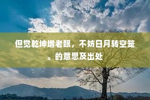 但觉乾坤增老眼，不妨日月转空笼。的意思及出处