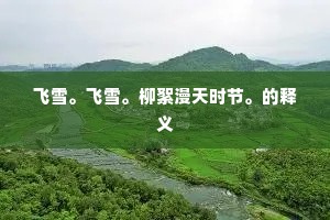 飞雪。飞雪。柳絮漫天时节。的释义
