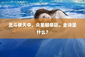 北斗横天中，众星朝帝廷。全诗是什么？