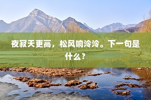 夜寂天更高，松风响泠泠。下一句是什么？