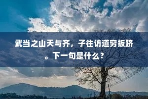 武当之山天与齐，子往访道穷扳跻。下一句是什么？