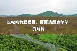 长松密竹翠模糊，萧萧清籁真笙竽。的解释