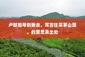 卢郎抱琴别我去，驾言往采茅山薇。的意思及出处