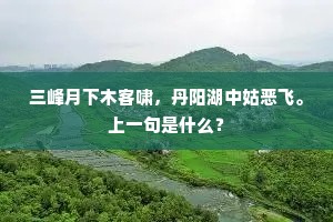 三峰月下木客啸，丹阳湖中姑恶飞。上一句是什么？