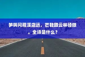 笋舆问程溪店远，芒鞋蹑云林径微。全诗是什么？