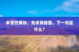 未急宣攘狄，先求禹格苗。下一句是什么？
