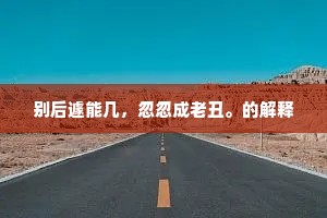 别后遽能几，忽忽成老丑。的解释