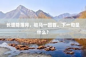 长堤隐落月，驻马一回首。下一句是什么？
