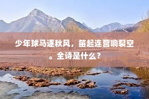 少年球马逐秋风，笛起连营响裂空。全诗是什么？