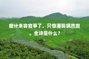 痴计未容官事了，只惊潘鬓飒然斑。全诗是什么？