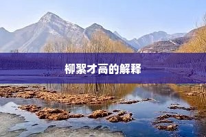 柳絮才高的解释