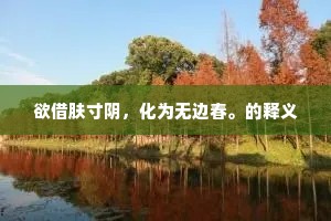 欲借肤寸阴，化为无边春。的释义