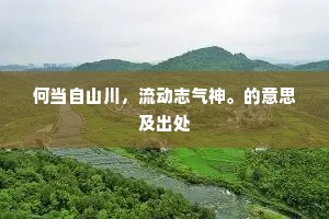 何当自山川，流动志气神。的意思及出处